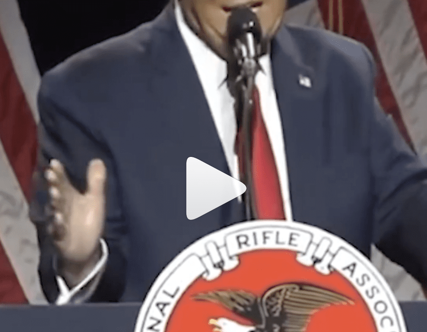 VIDEO: What The Trump?!?